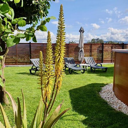 Rosinha Country House Vale de Cambra Exterior photo