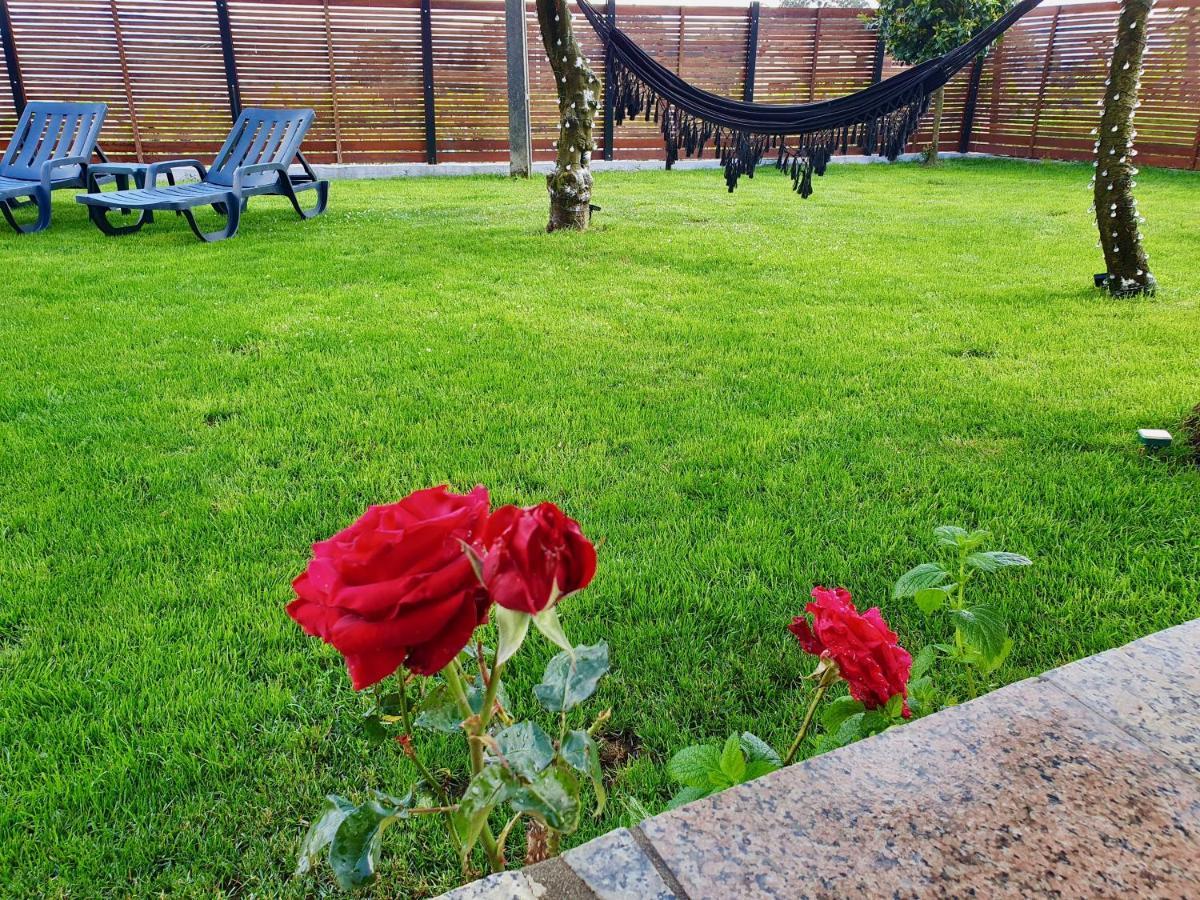 Rosinha Country House Vale de Cambra Exterior photo