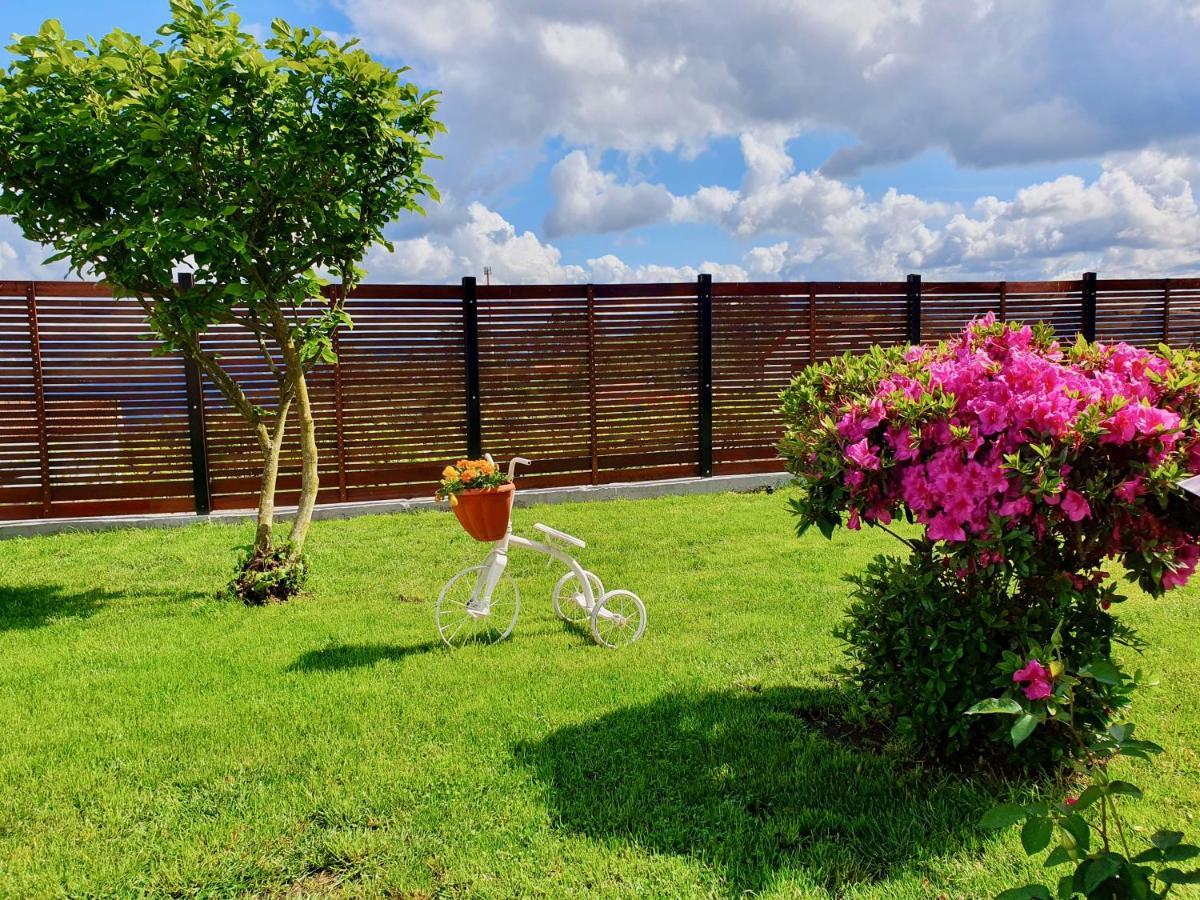 Rosinha Country House Vale de Cambra Exterior photo
